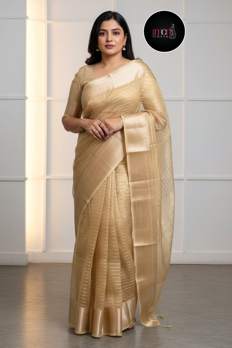 Absolutely Unique- Banarasi Tissue Organza Saree