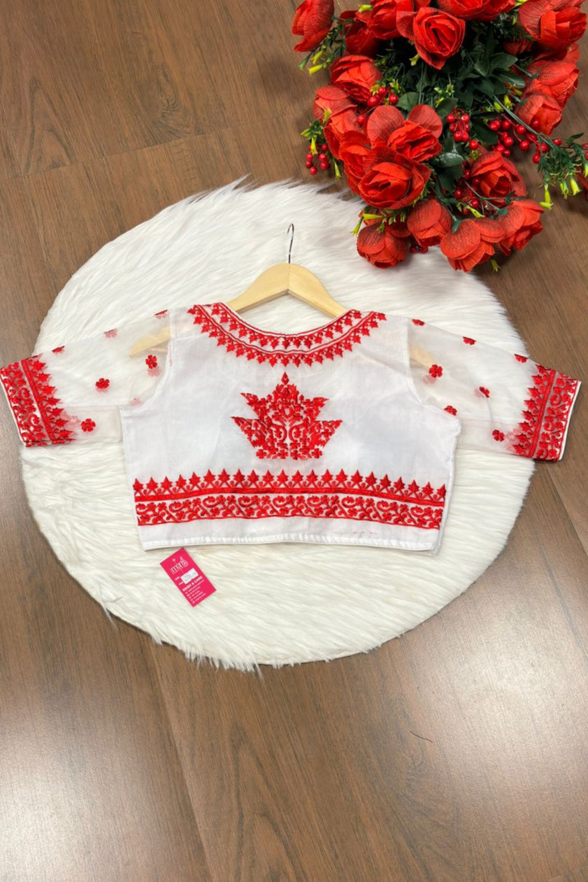 Adorable Organza Designer Blouse