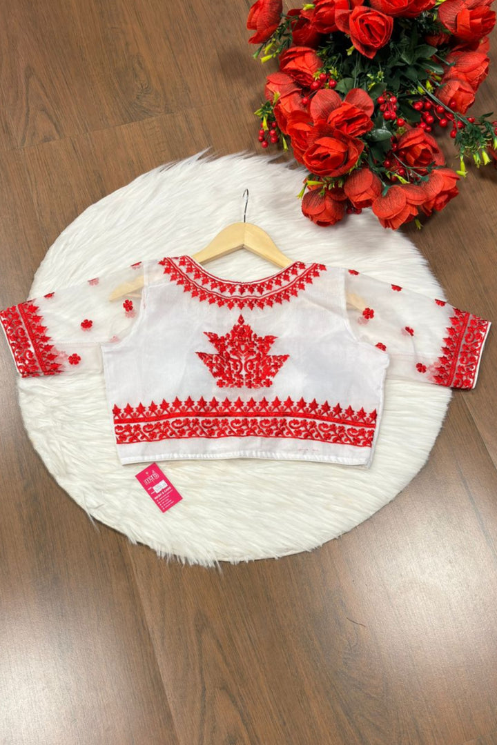 Adorable Organza Designer Blouse