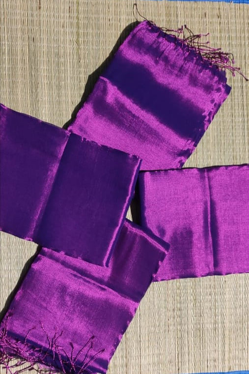 Parineeta-  A Endless Story