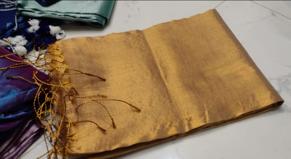 Parineeta-  A Endless Story