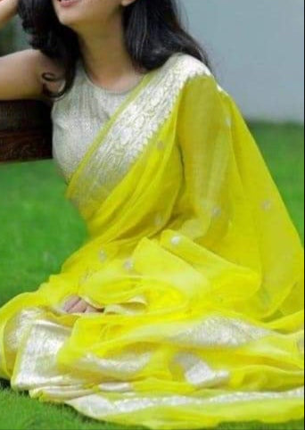 Legacy Of Khaddi Chiffon Handloom Banarasi Saree