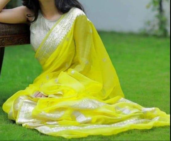 Legacy Of Khaddi Chiffon Handloom Banarasi Saree