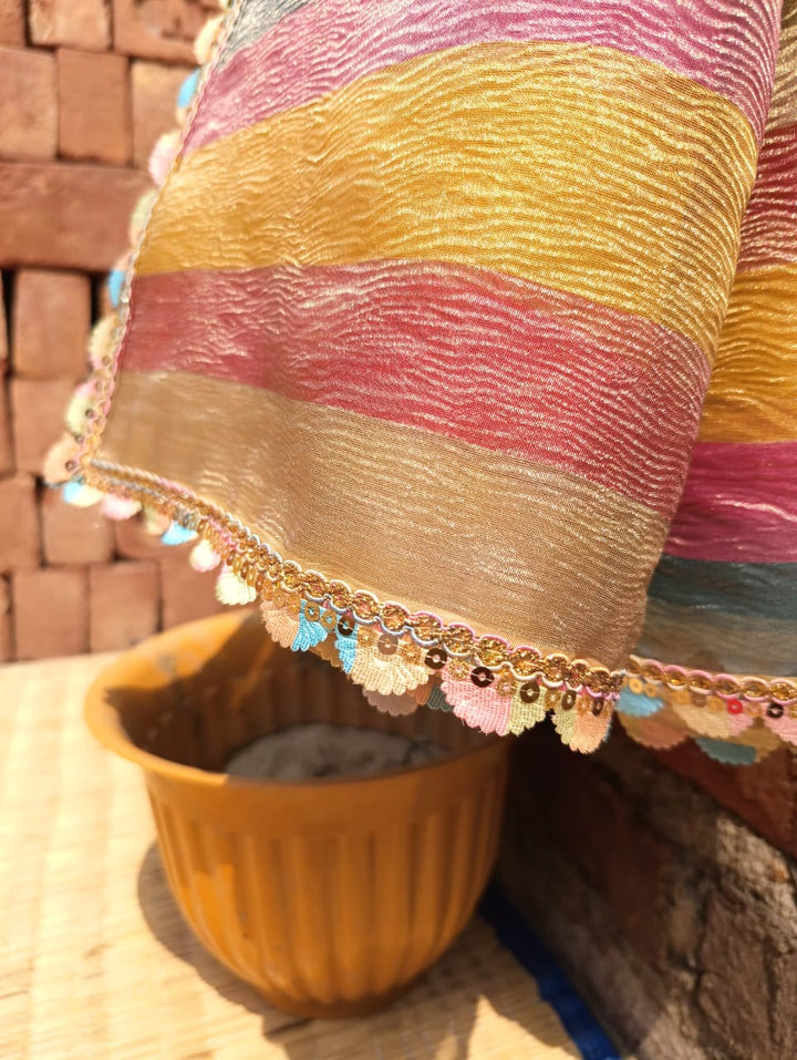 Colorful Glam Banarasi Tissue Crush Saree