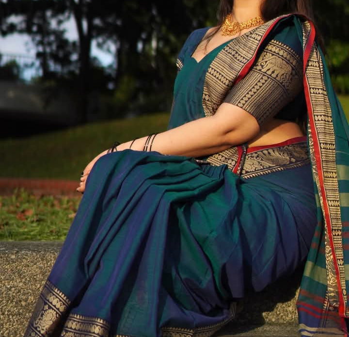 Crown Of Starlight Narayanpet Saree