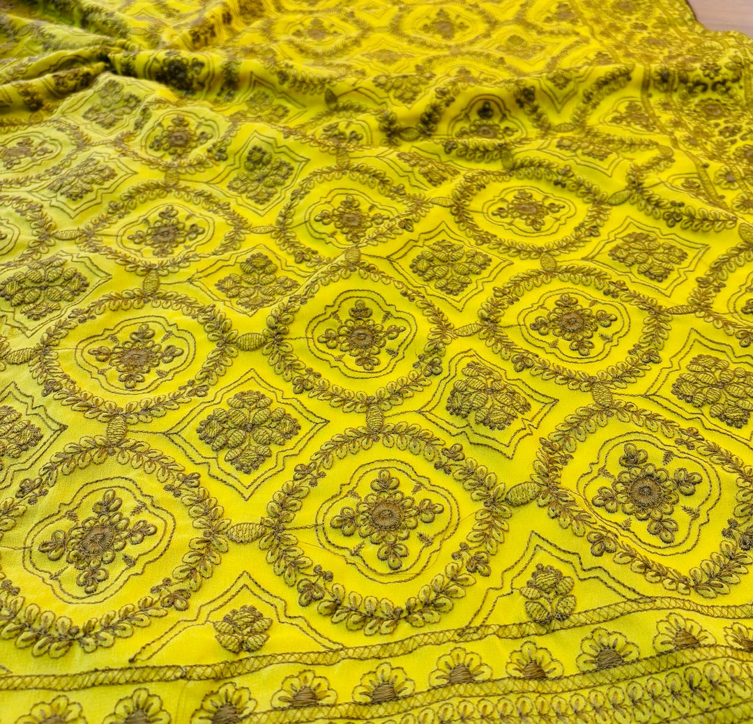 Spill the beans Of Beauty(Embroidery Saree)