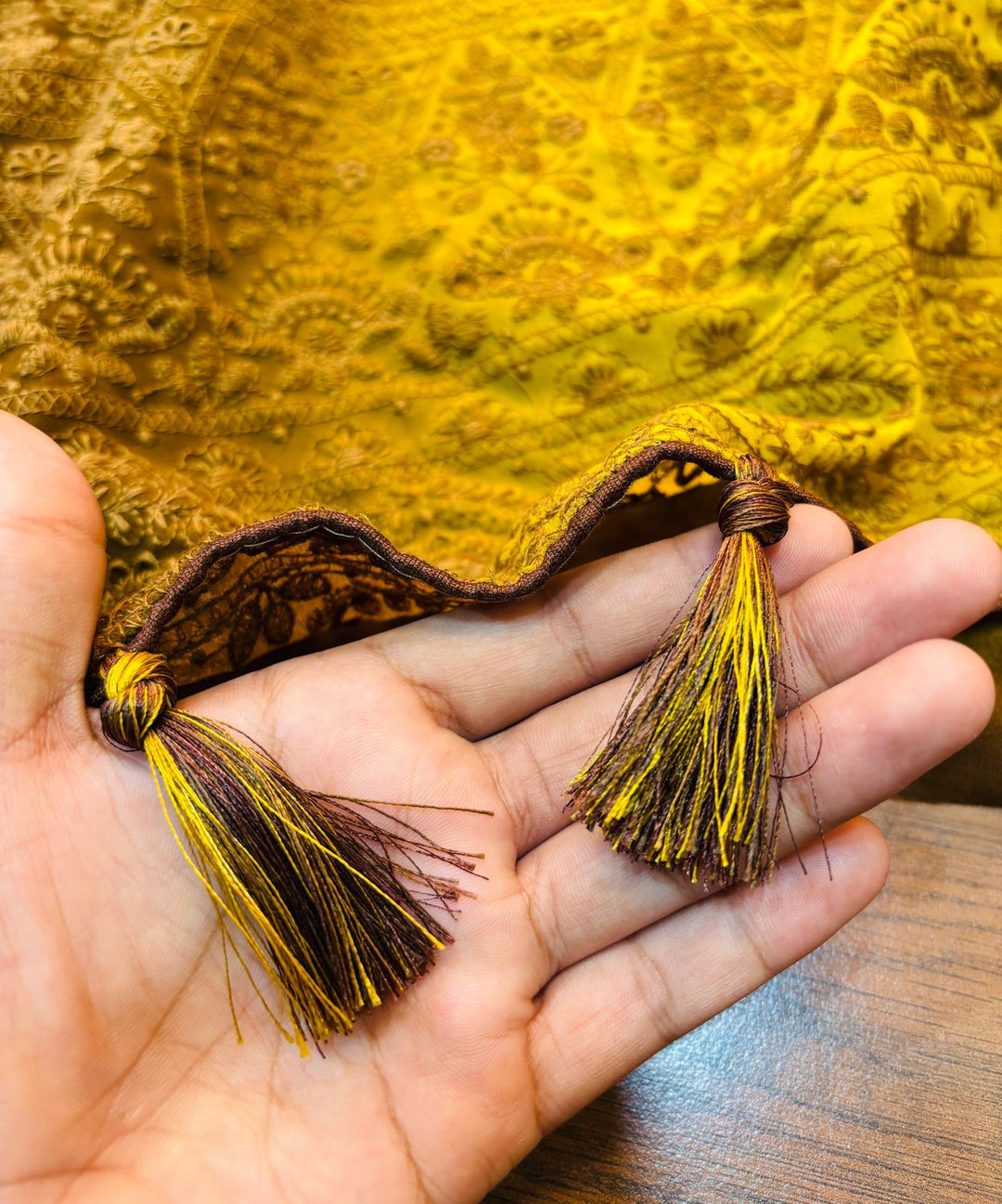 Spill the beans Of Beauty(Embroidery Saree)