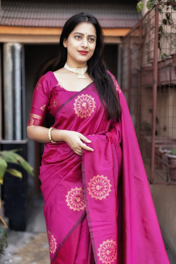 Blossom Bay Fancy Silk Saree