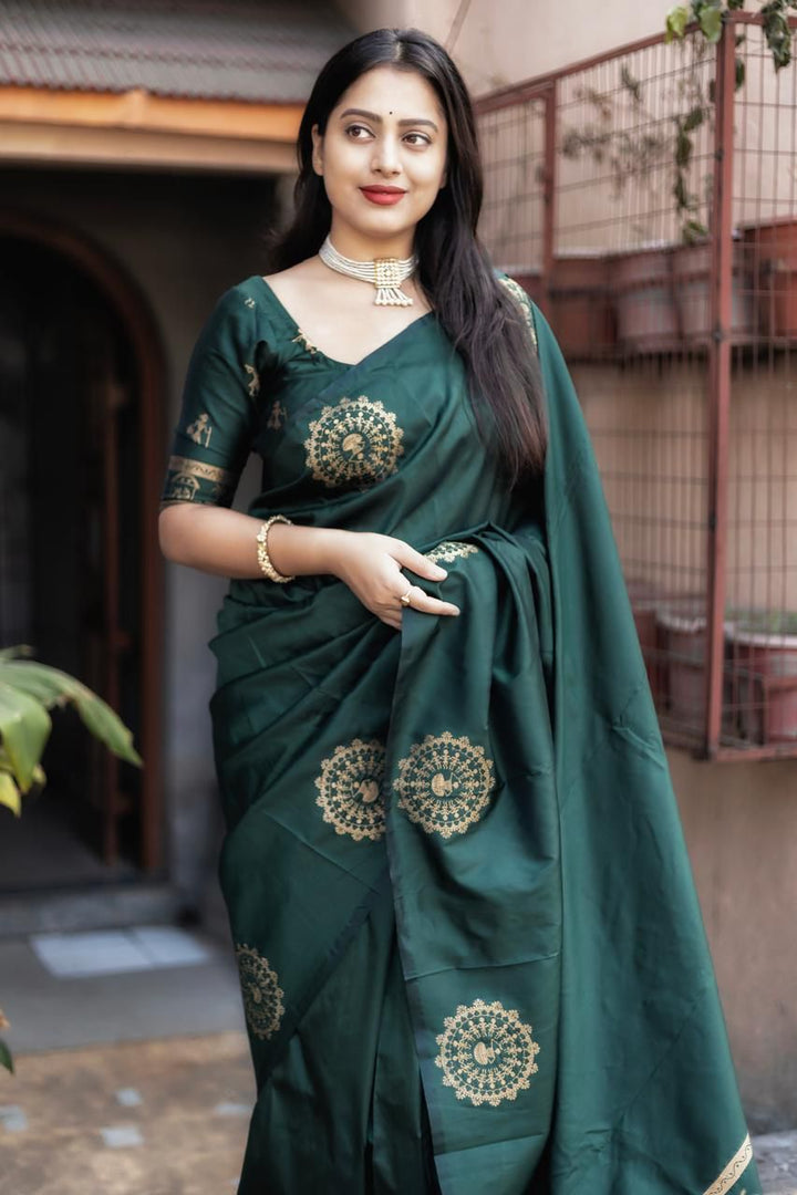 Blossom Bay Fancy Silk Saree