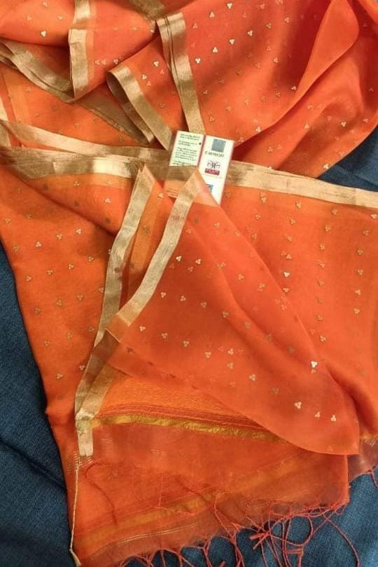 AkashGanga Muslin Resham Saree
