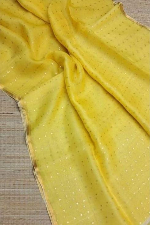 AkashGanga Muslin Resham Saree