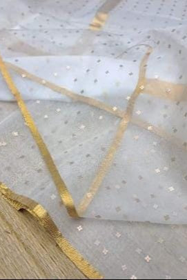 AkashGanga Muslin Resham Saree