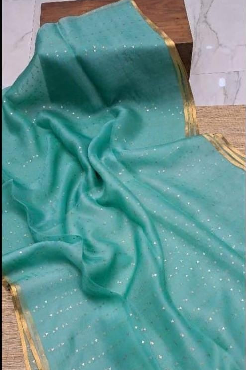 AkashGanga Muslin Resham Saree