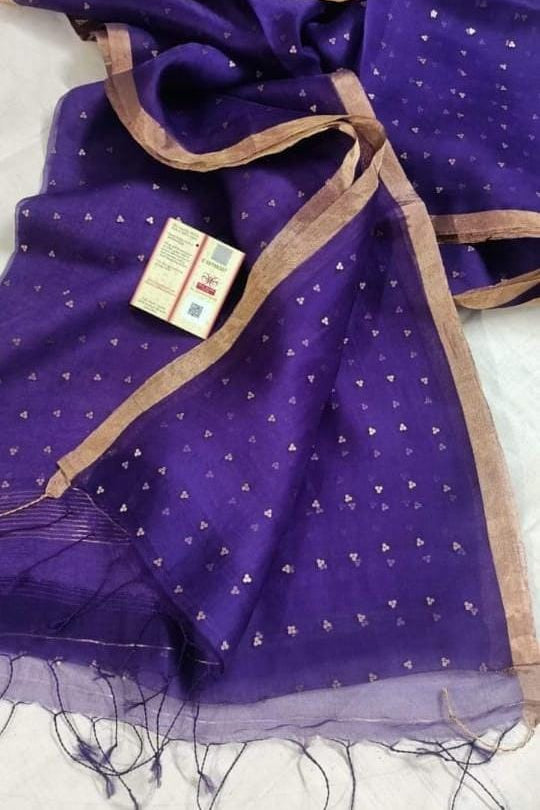 AkashGanga Muslin Resham Saree