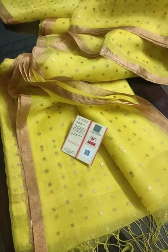 AkashGanga Muslin Resham Saree