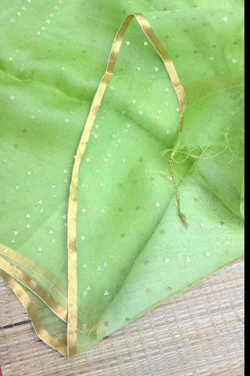 AkashGanga Muslin Resham Saree