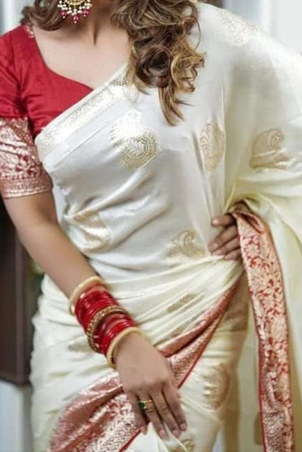 Born To Sparkle Fancy Silk Saree