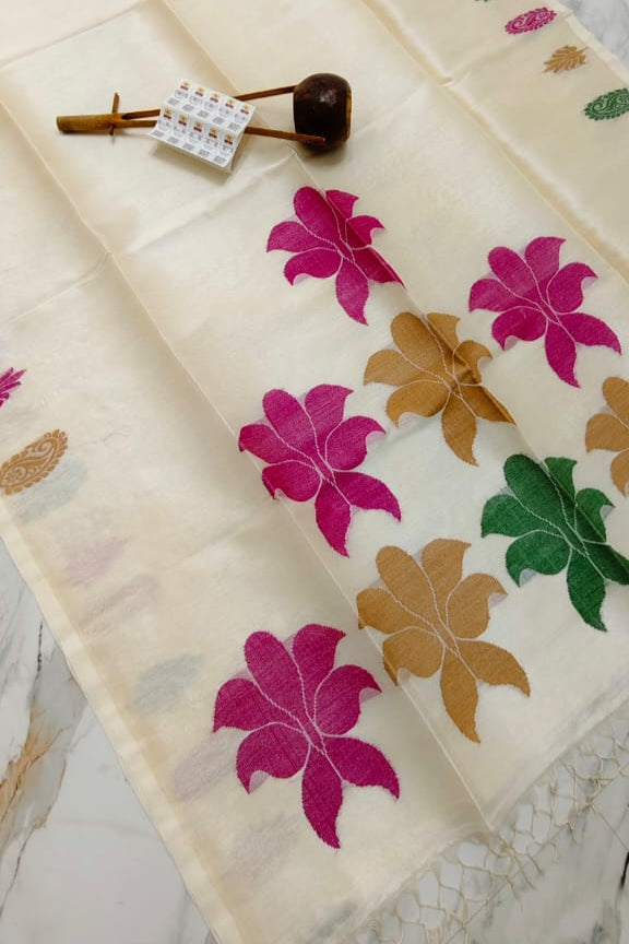 Chhaya Sikka Gachi Tussar Saree