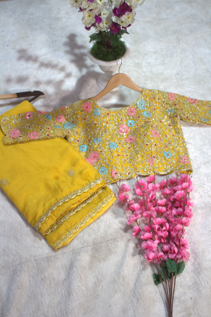 Light Leela Yellow Organza Saree