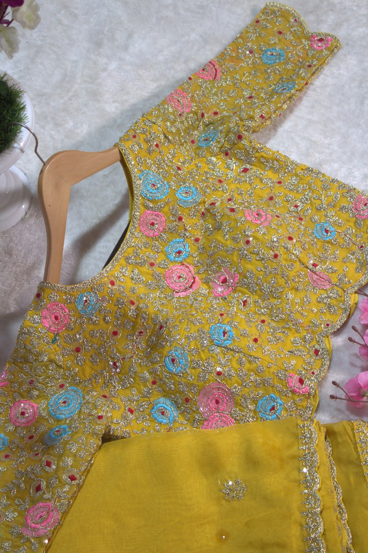 Light Leela Yellow Organza Saree