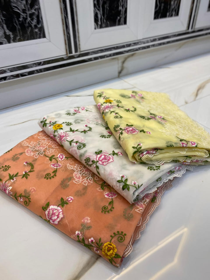 Beauty Of Seasons Kora Banarasi Organza Silk Saree