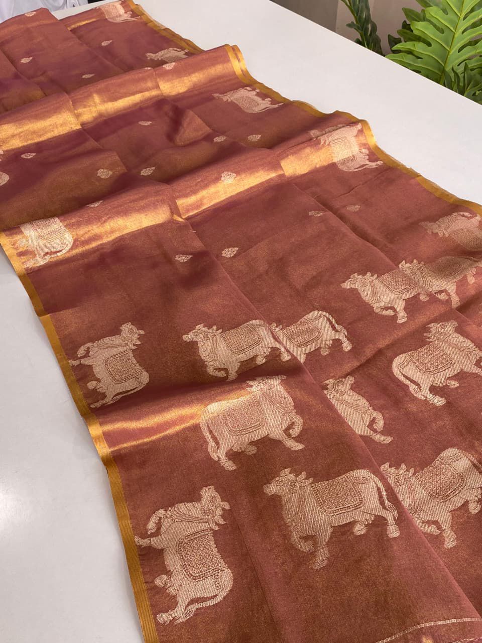 Divine Kamdhenu Tissue Silk Saree