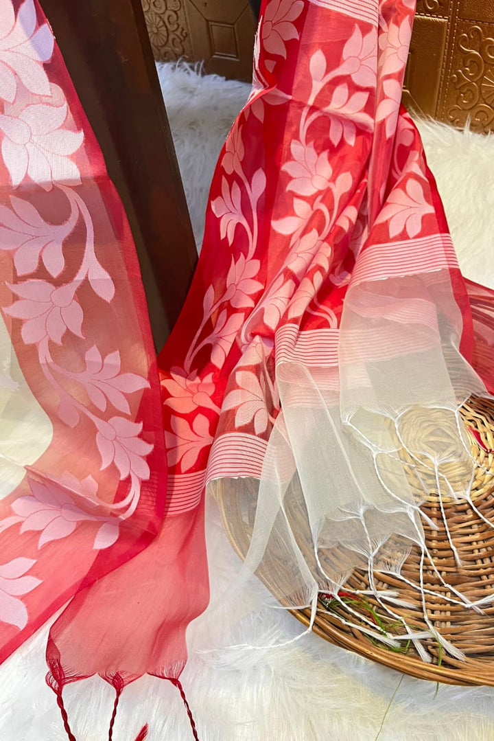 Amber Fall Banarasi Dhakai Kora Organza Saree