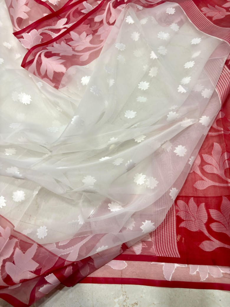 Amber Fall Banarasi Dhakai Kora Organza Saree