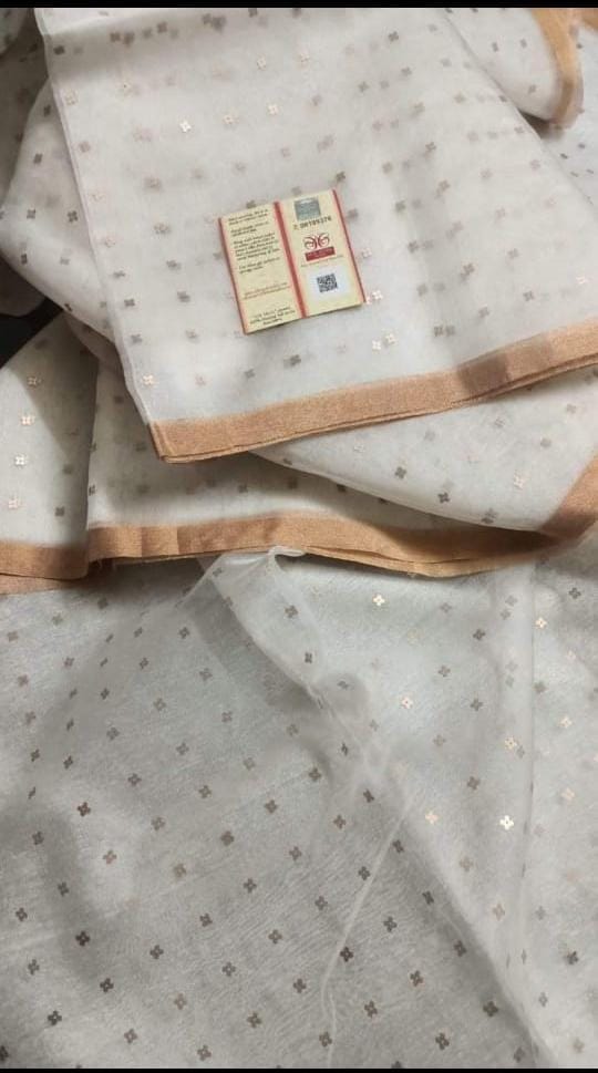 AkashGanga Muslin Resham Saree