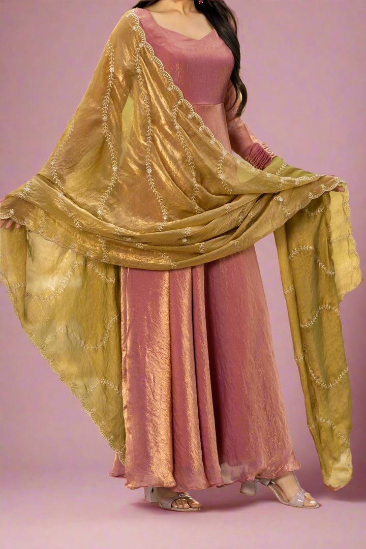 Timeless Masterpiece Fancy silk Gown Set