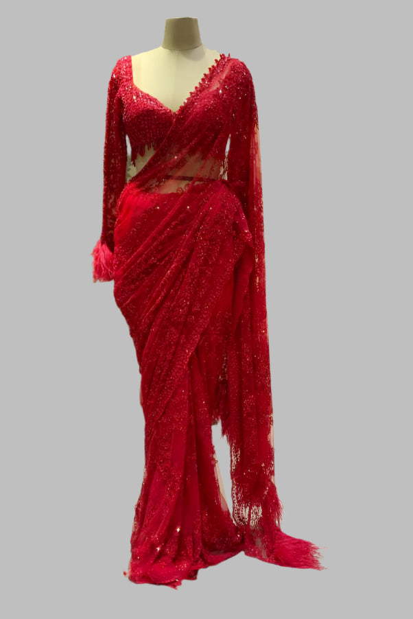Pallu Queen Designer Net Saree