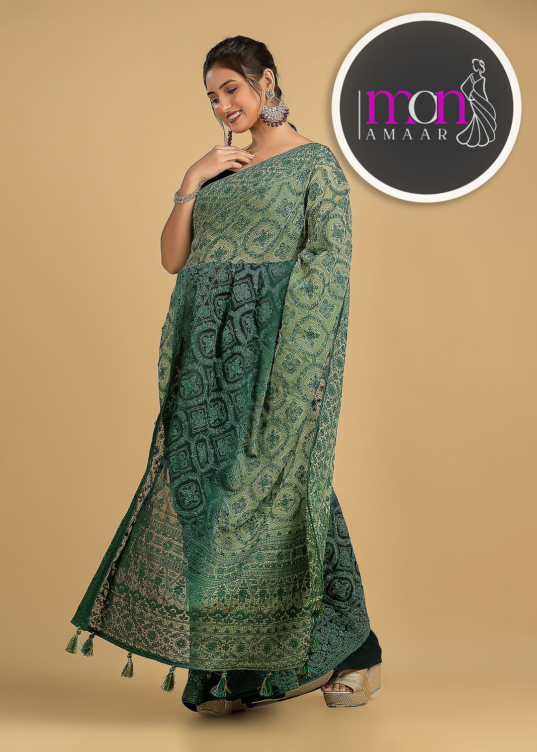 Spill the beans Of Beauty(Embroidery Saree)