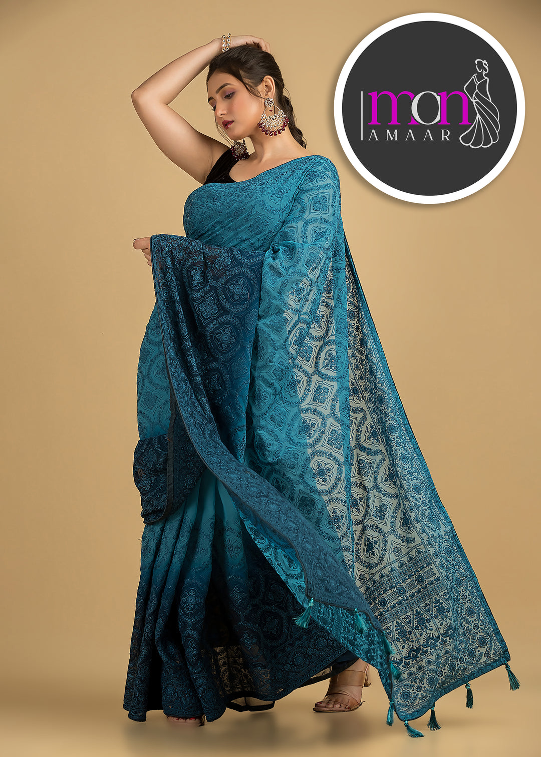 Spill the beans Of Beauty(Embroidery Saree)