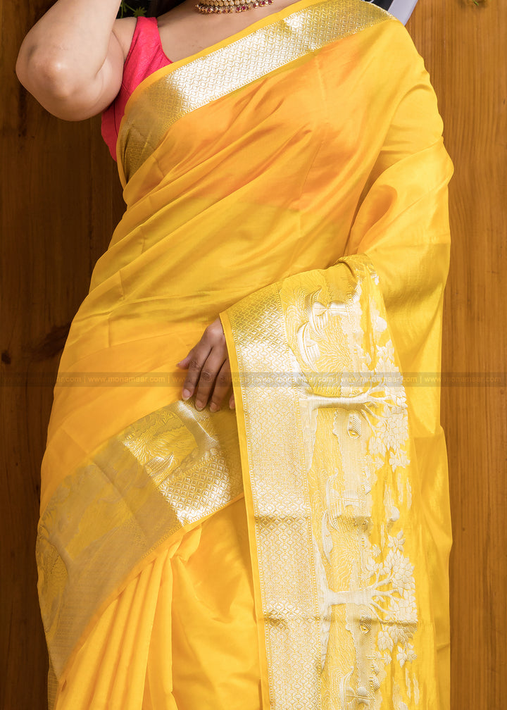 Nadi Ghat Banarasi Fancy silk Saree