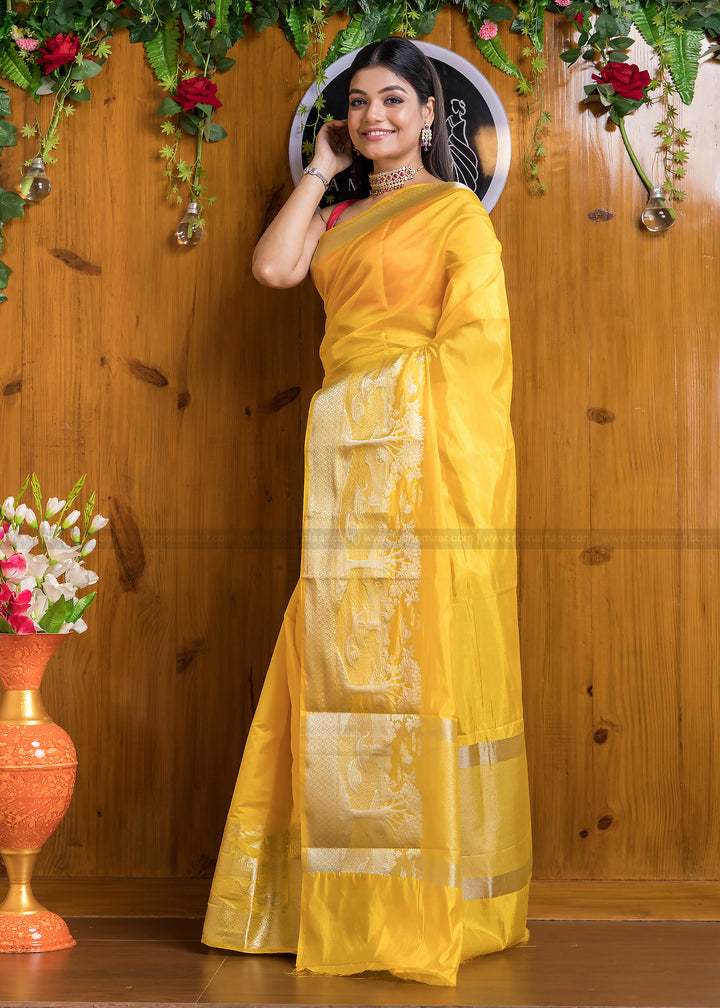 Nadi Ghat Banarasi Fancy silk Saree