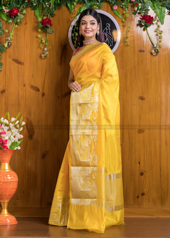 Nadi Ghat Banarasi Fancy silk Saree