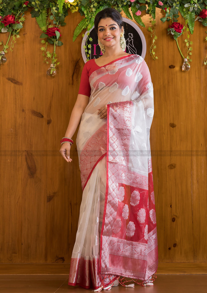 Divine Enclave Royal Organza Saree