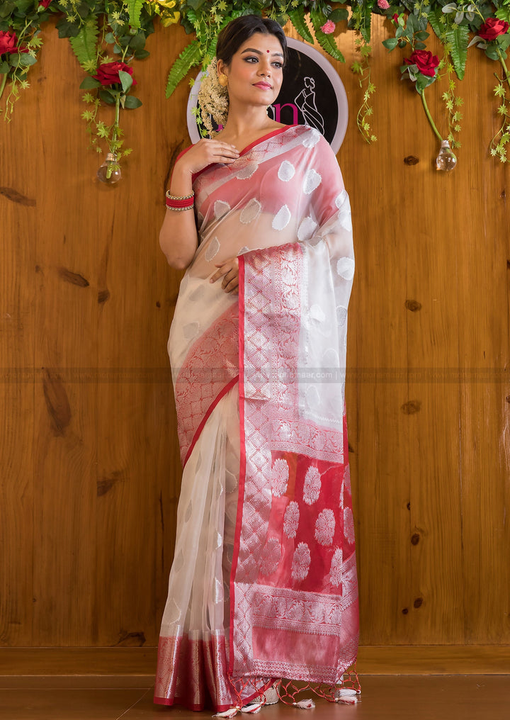 Divine Enclave Royal Organza Saree