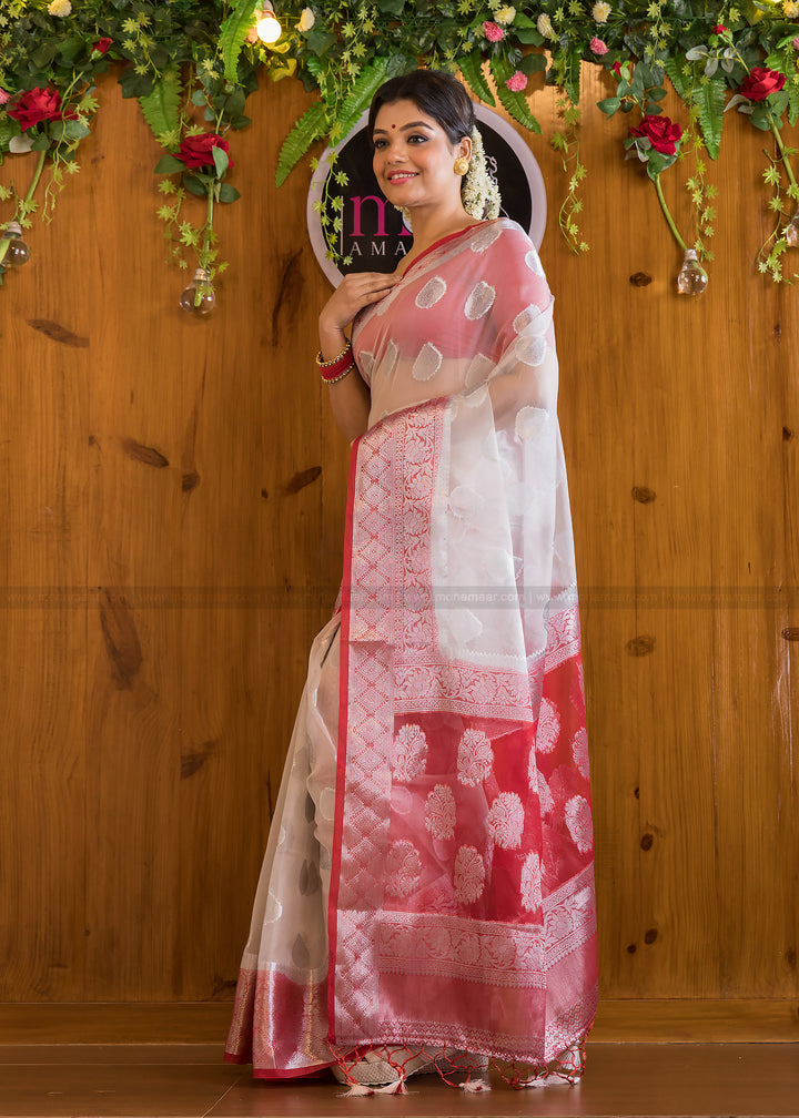 Divine Enclave Royal Organza Saree