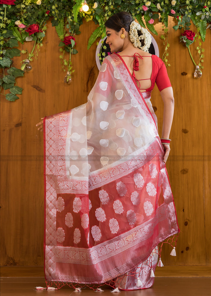 Divine Enclave Royal Organza Saree