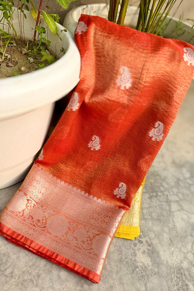 Wildwood Flower Banarasi Tissue Katan Silk Saree