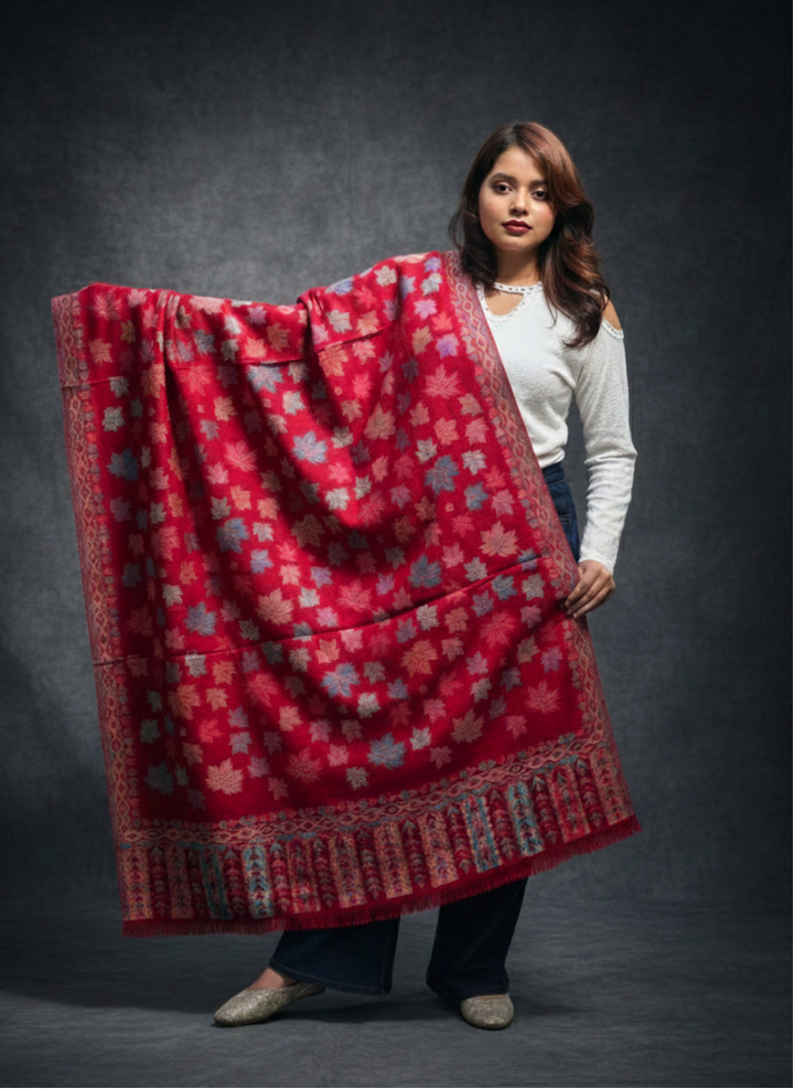 Icy Embrace Shawl Collection