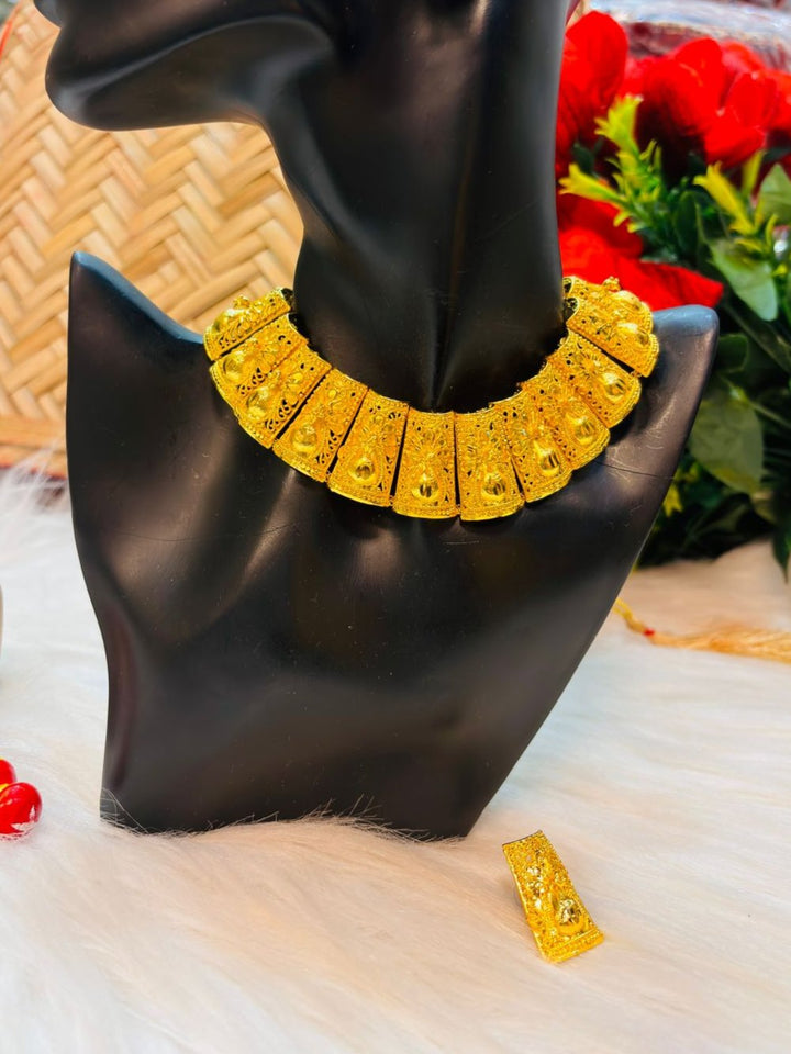 Golden Treasure- Gold Plated Necklace Set