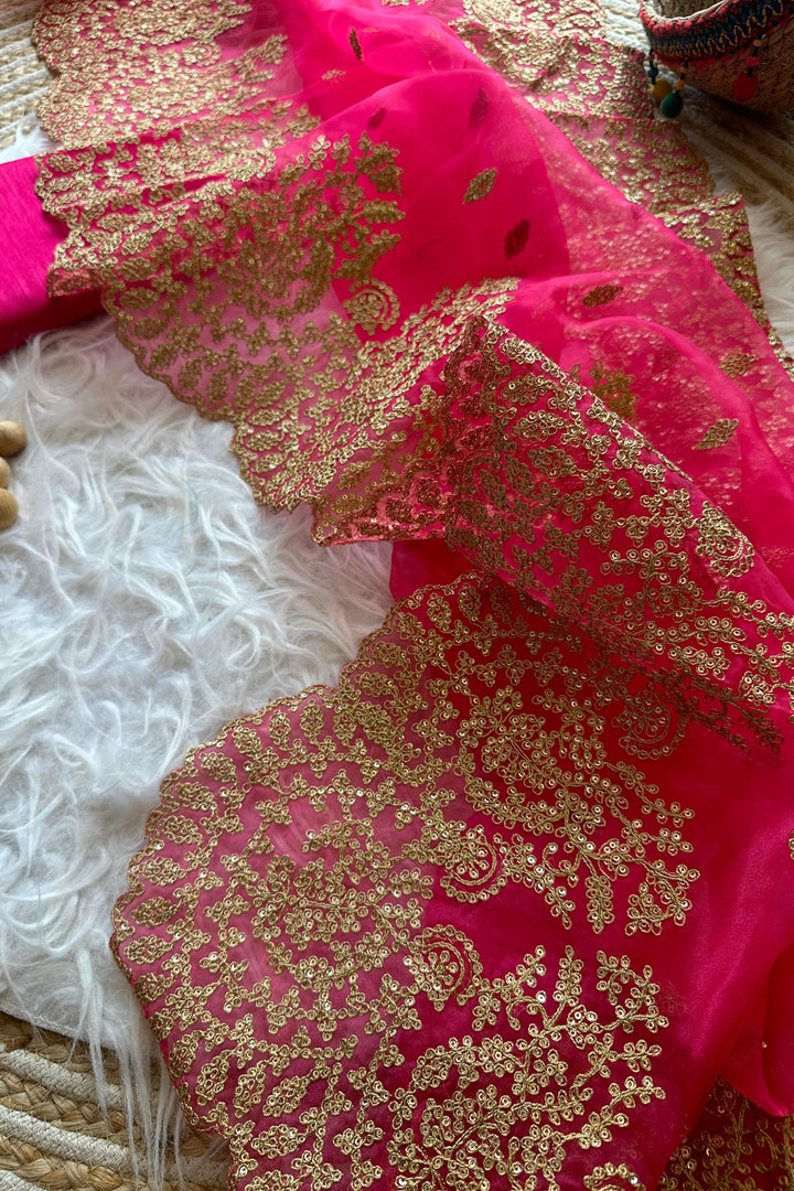 Glimpse Of Serenity Organza Saree