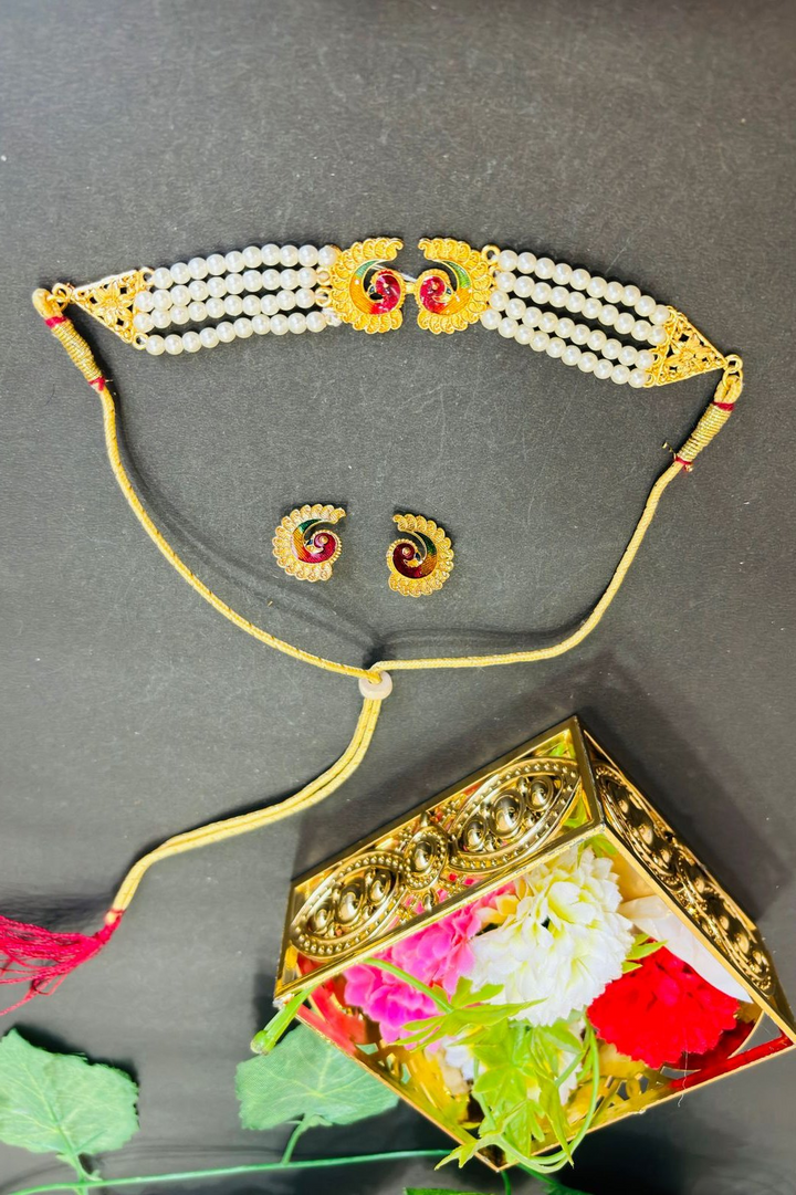 Absolute Stunner-Chocker Necklace set