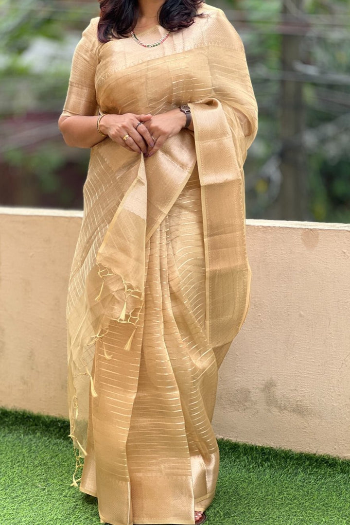 Absolutely Unique- Banarasi Tissue Organza Saree