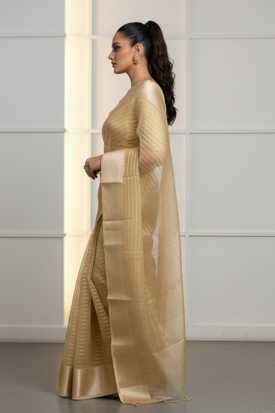 Absolutely Unique- Banarasi Tissue Organza Saree