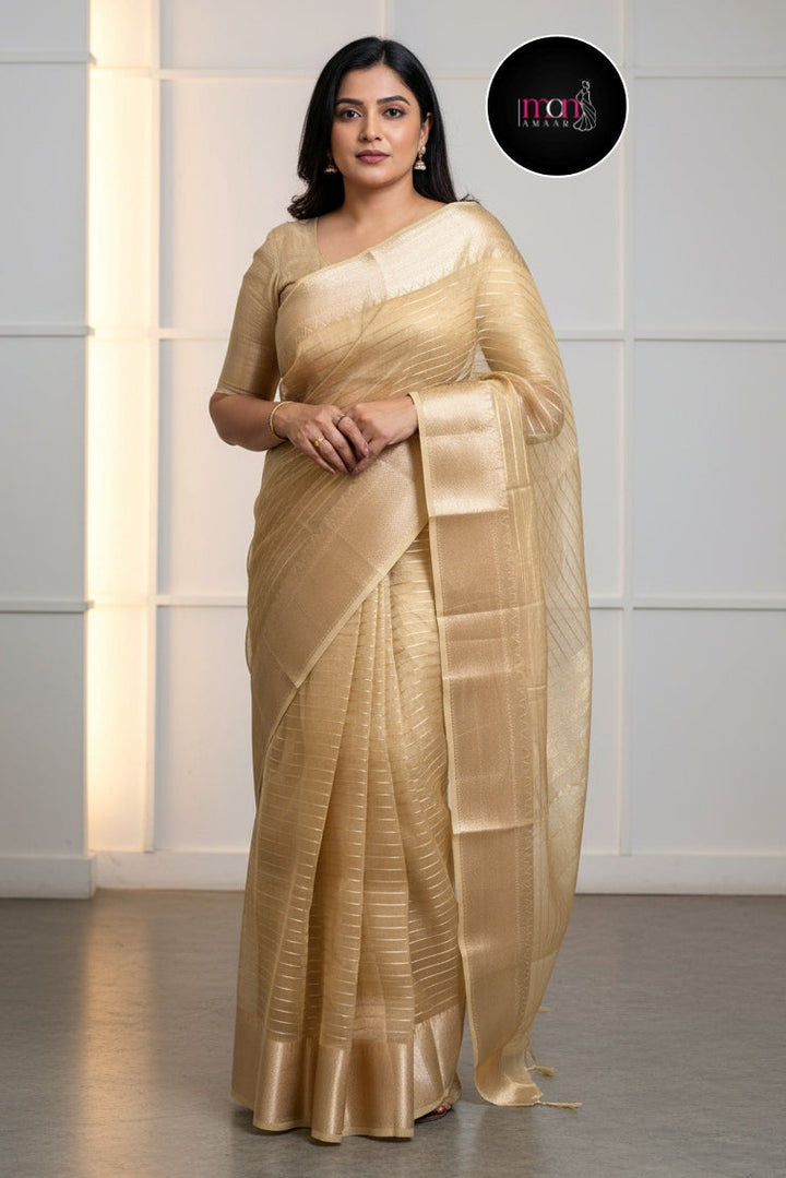Absolutely Unique- Banarasi Tissue Organza Saree
