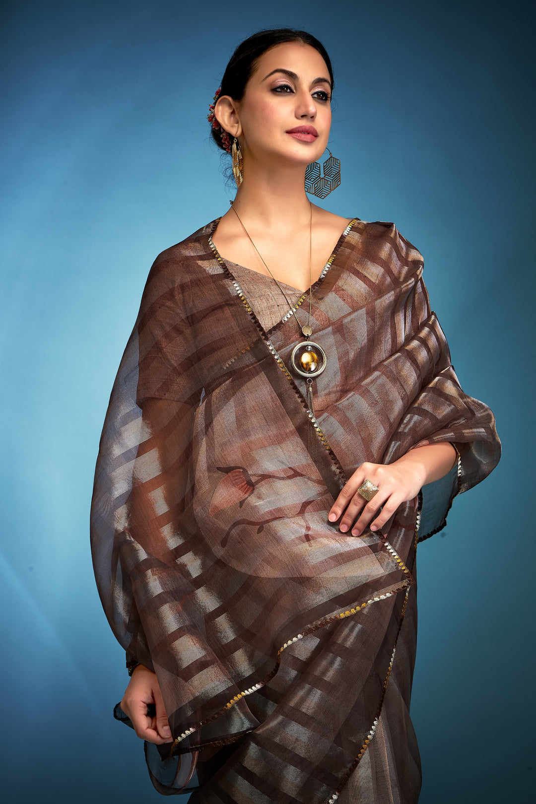 Graceful Lady Tissue Silk Saree