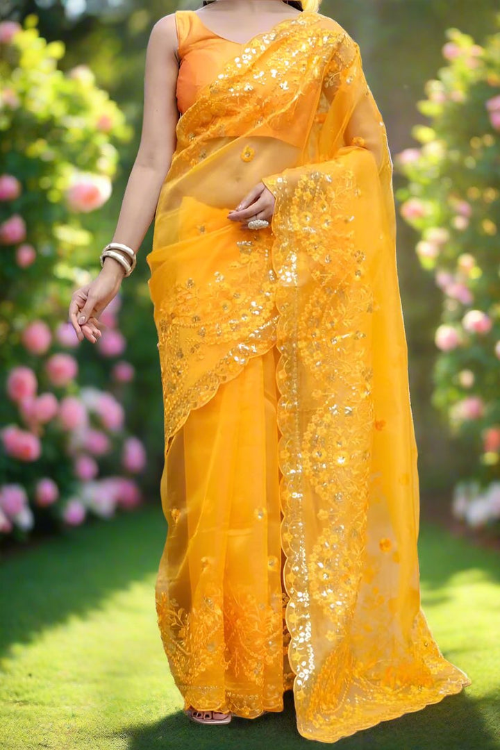 Magical Timeline Organza Saree